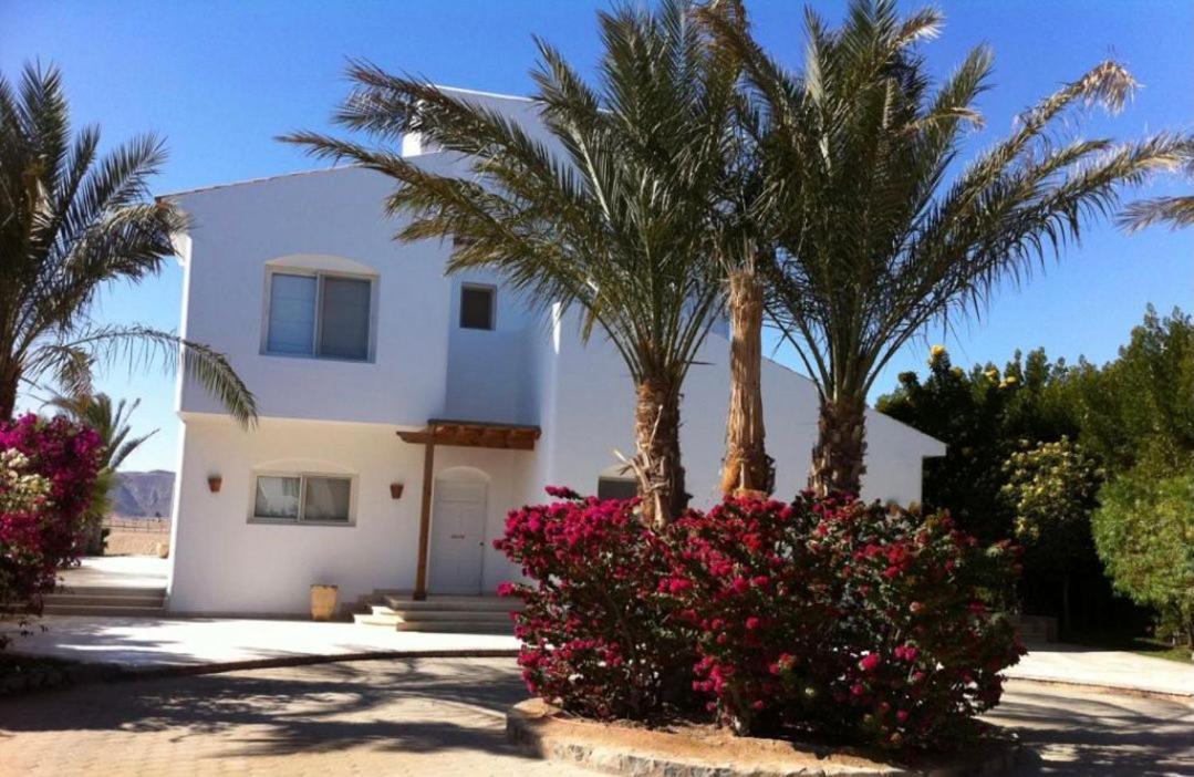 Gouna Hurghada Extérieur photo